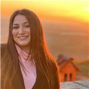 Docente di cinese impartisce lezioni a studenti di elementari, medie e superiori